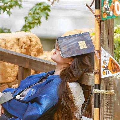悬挂的太阳 高清封面